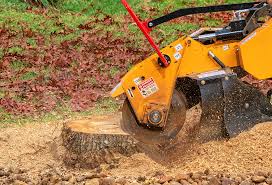 Mulching Services in Seeley, CA